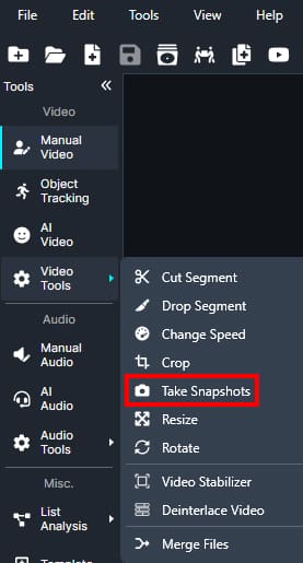 Take snapshots option in video tools