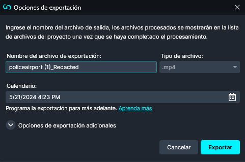Export Options in Spanish Software