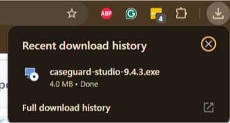 Chrome recent download history