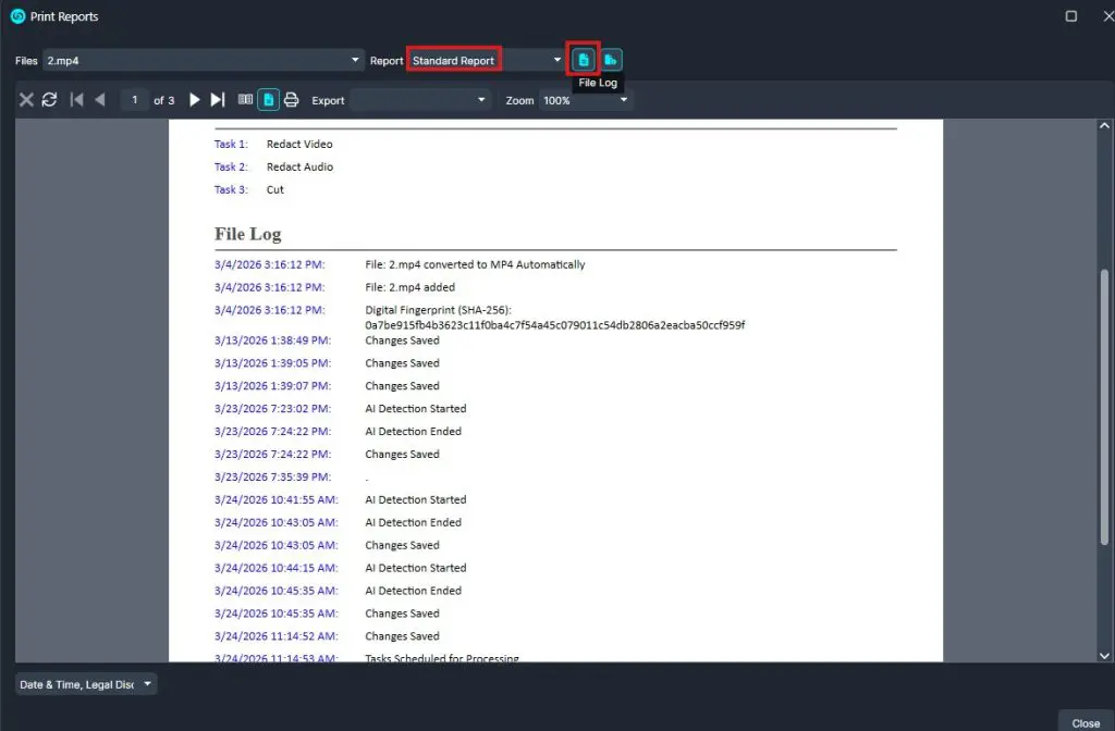 Screenshot of a report viewer showing a 'File Log' page under 'Standard Report' with print/export controls at the top (UI toolbar visible).