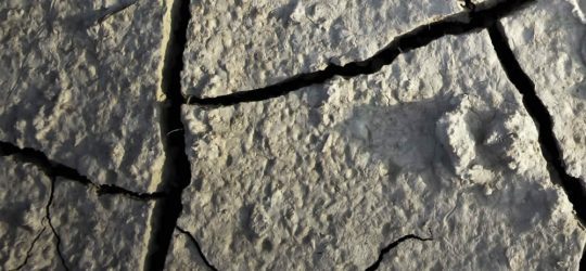 Cracks in our Foundation | Leaking Evidence
