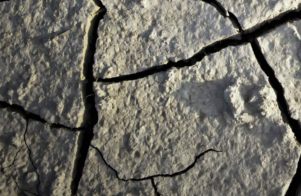 Cracks in our Foundation | Leaking Evidence