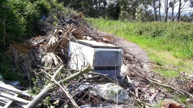 Investigations | Illegal Dumping Cases