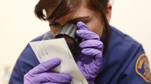 Pro-active Patrol | Felony Lane Gang