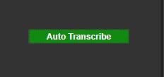 CaseGuard Auto Transcribe Button