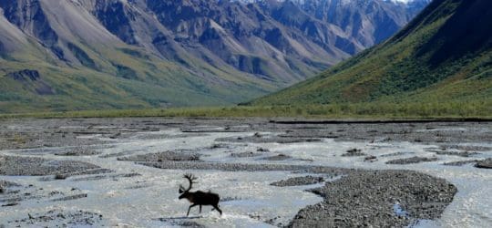 Marco jurídico de la protección de datos en Alaska