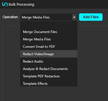 caseguard-bulk-processing-window