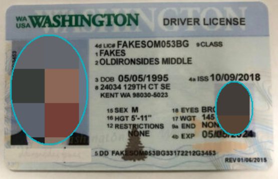 face-redaction-drivers-license