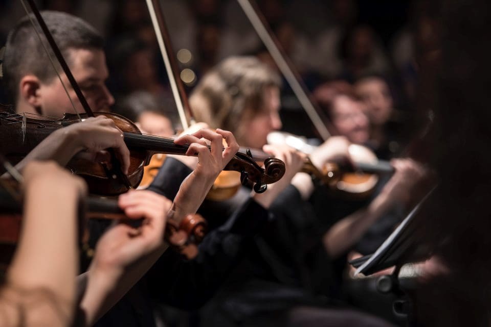 Musicians playing string instruments in an orchestra.