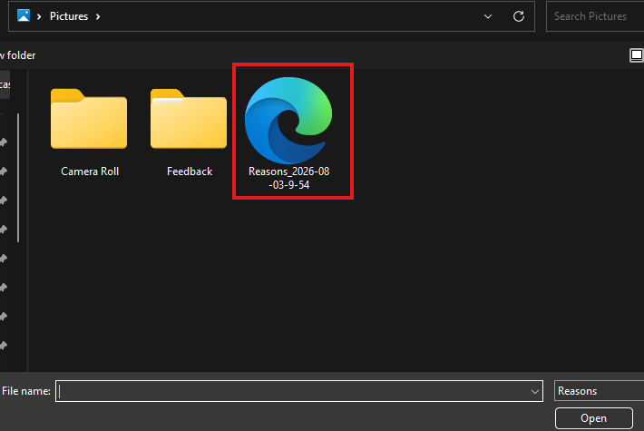 Screenshot of a Windows Explorer window showing two yellow folders named'Camera Roll' and 'Feedback' and a file named 'Reasons 2026-08-03-9-54' with a blue-green circular icon