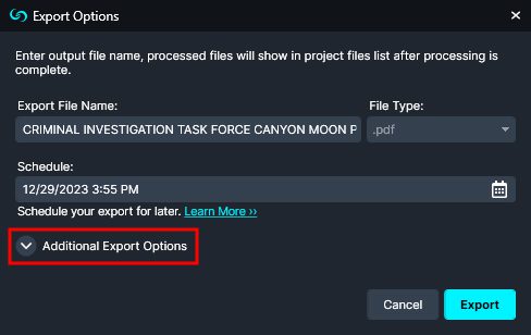 Click to expand the additional export options dropdown