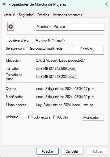 Windows file property window in Spanish