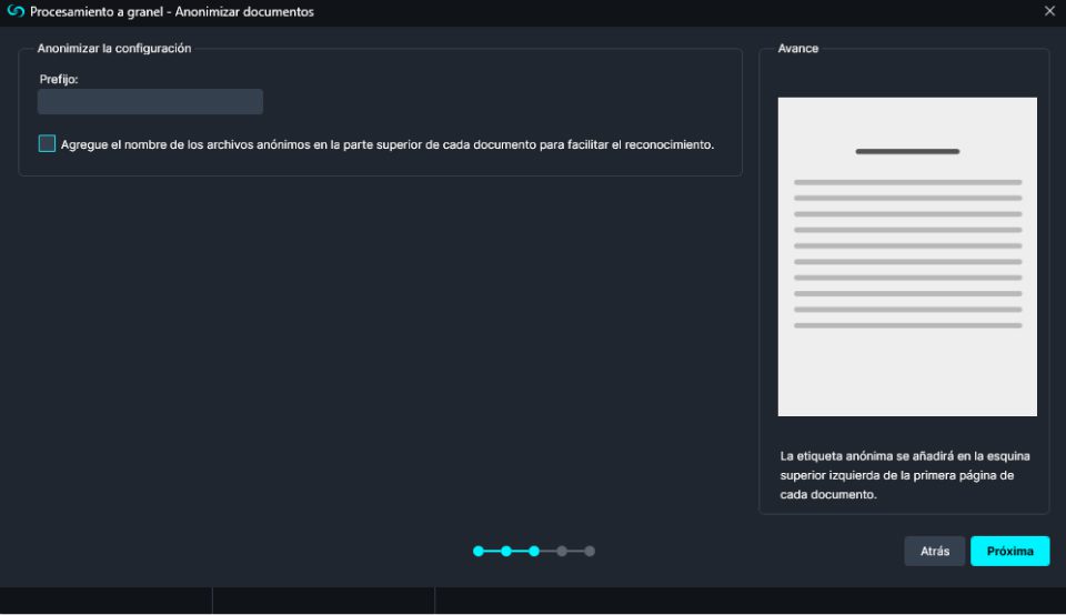 Anonymize document window in Spanish