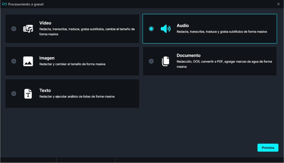 Bulk Processing Window in Spanish