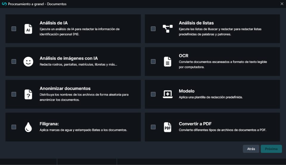 Bulk Processing options window in Spanish