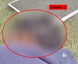 redaction-title-shown