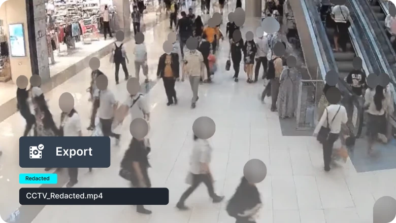 Get secure, compliant redactions ready to go with all metadata scrubbed.