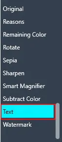 Vertical menu of image edit tools with 'Text' highlighted in cyan.